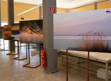 Hartlauer_Kainrath_29