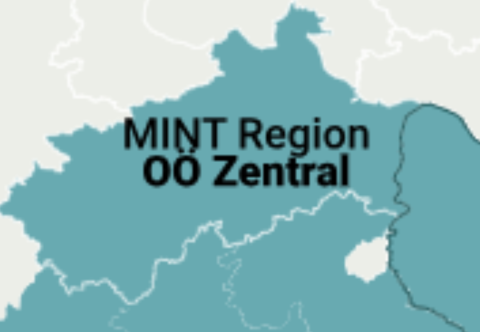 Mint-Region