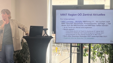 MINT-Region 1